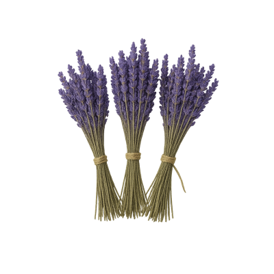 Mazzetti di lavanda...