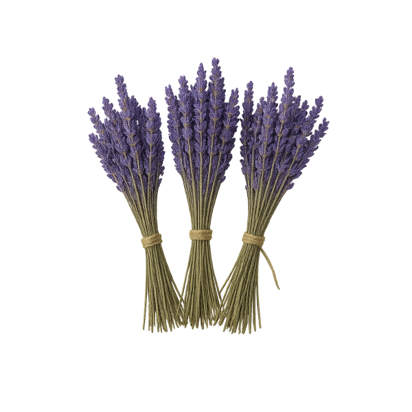 Mazzetti di lavanda essiccata 100gr